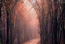 -包含波尔图发布备战花絮，清晨临场应变，英超任务艰巨，更衣室氛围转暖的词条